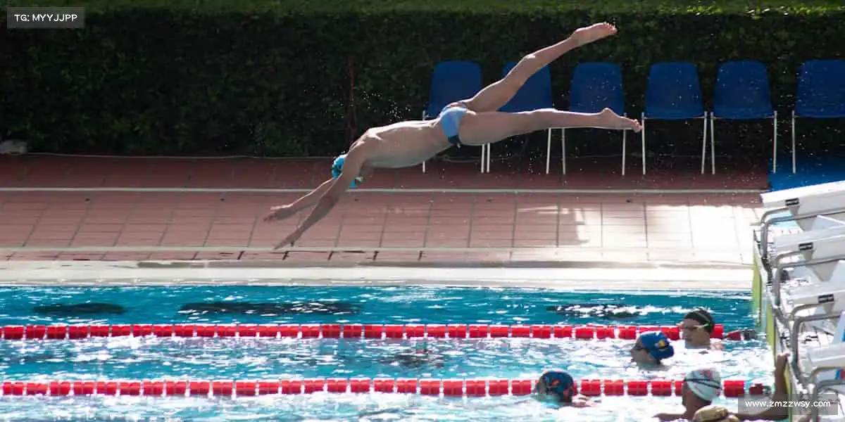 行业领先的理由